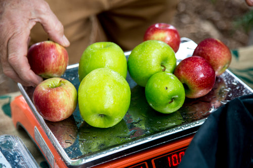 Apples - Pink Lady Apples